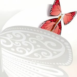 Ensemble Carte + 1 Papillon Magique