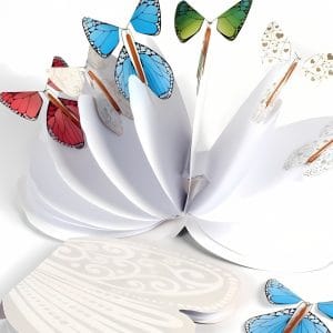 Ensemble Livret + 10 Papillons Magiques (Collection standard)