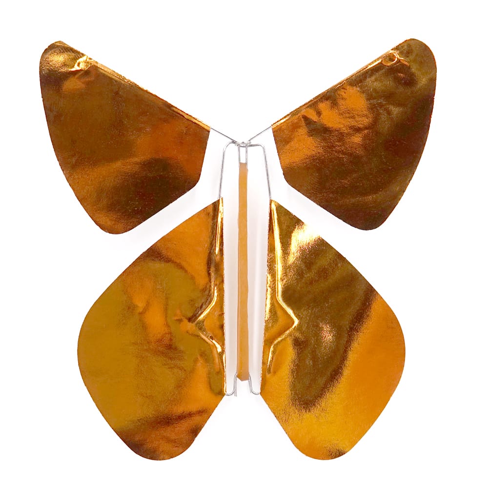 Urnes dépôt Papillons magique urnes dépôt