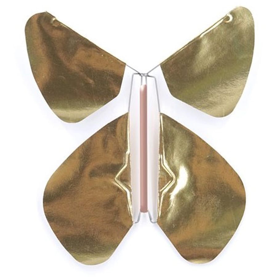 Urnes dépôt Papillons magique urnes dépôt