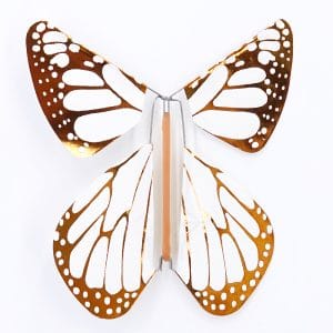 Papillons magique urnes dépôt