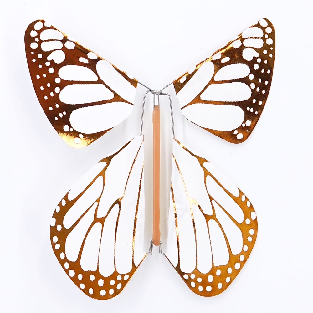 Urnes dépôt Papillons magique urnes dépôt