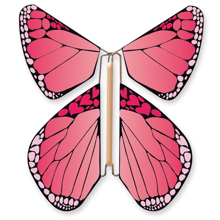 Urnes dépôt Papillons magique urnes dépôt