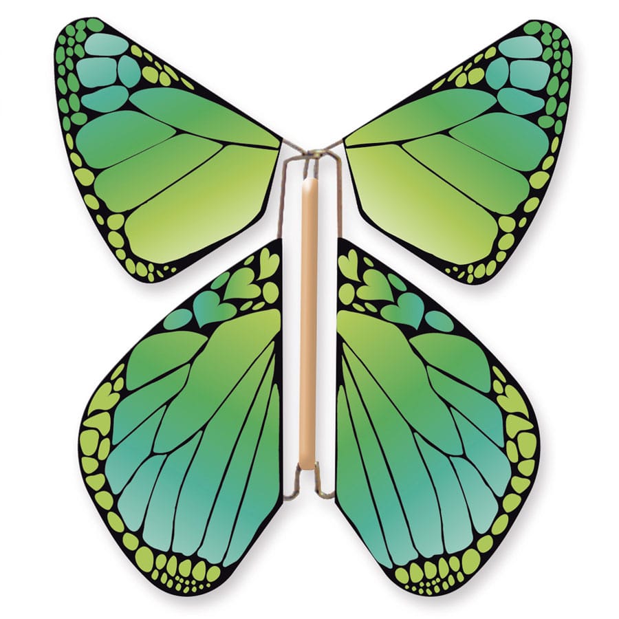 Urnes dépôt Papillons magique urnes dépôt