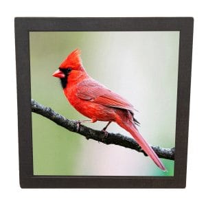 Urne funéraire en bois – Doux repos - Noir avec Photo - Modèle 5